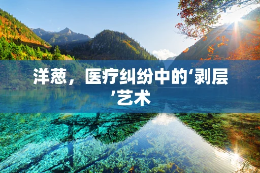 洋葱，医疗纠纷中的‘剥层’艺术