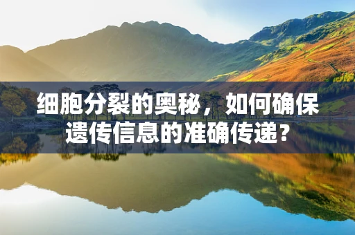 细胞分裂的奥秘，如何确保遗传信息的准确传递？