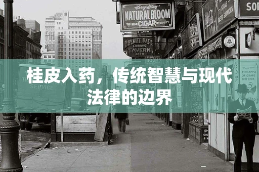 桂皮入药，传统智慧与现代法律的边界