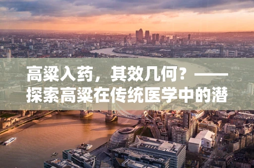 高粱入药，其效几何？——探索高粱在传统医学中的潜在价值