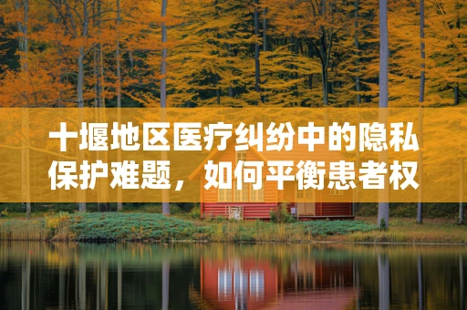 十堰地区医疗纠纷中的隐私保护难题，如何平衡患者权益与法律界限？