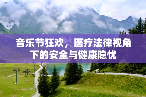 音乐节狂欢，医疗法律视角下的安全与健康隐忧