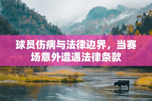 球员伤病与法律边界，当赛场意外遭遇法律条款