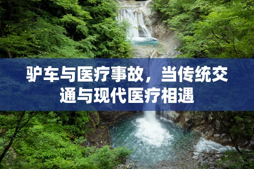 驴车与医疗事故，当传统交通与现代医疗相遇