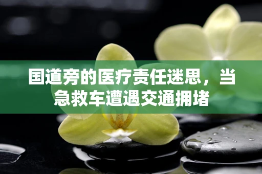 国道旁的医疗责任迷思，当急救车遭遇交通拥堵