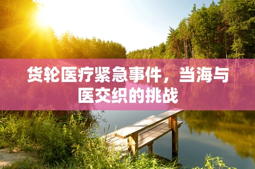 货轮医疗紧急事件，当海与医交织的挑战