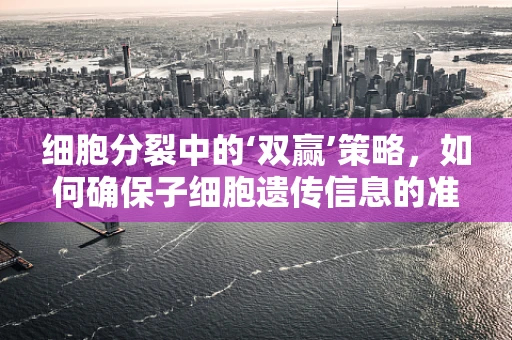 细胞分裂中的‘双赢’策略，如何确保子细胞遗传信息的准确传递？