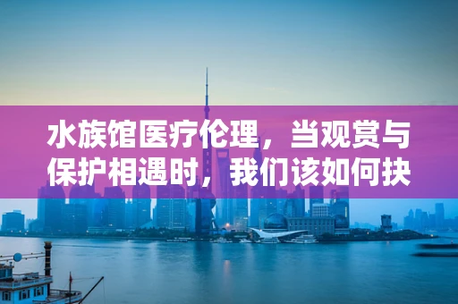 水族馆医疗伦理，当观赏与保护相遇时，我们该如何抉择？