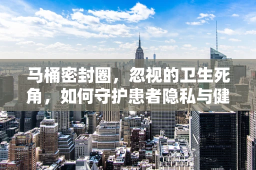 马桶密封圈，忽视的卫生死角，如何守护患者隐私与健康？