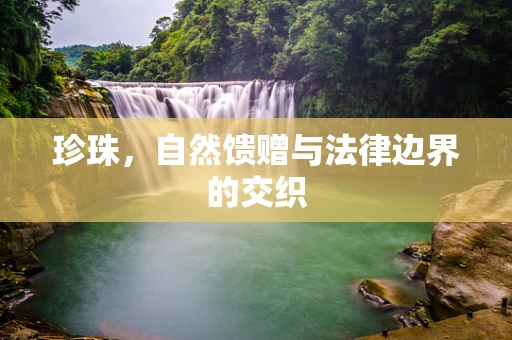 珍珠，自然馈赠与法律边界的交织