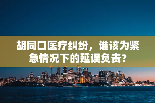 胡同口医疗纠纷，谁该为紧急情况下的延误负责？