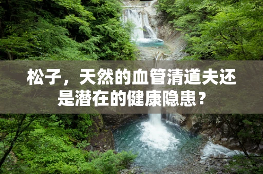 松子，天然的血管清道夫还是潜在的健康隐患？