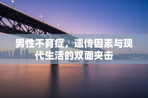 男性不育症，遗传因素与现代生活的双面夹击