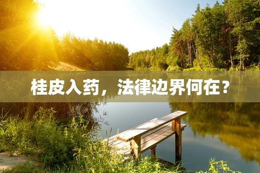 桂皮入药，法律边界何在？