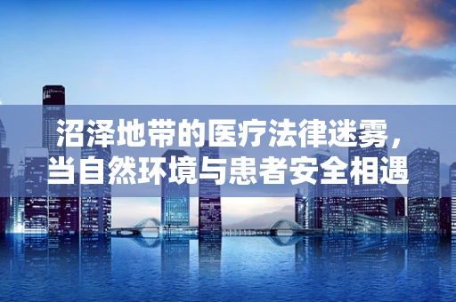 沼泽地带的医疗法律迷雾，当自然环境与患者安全相遇