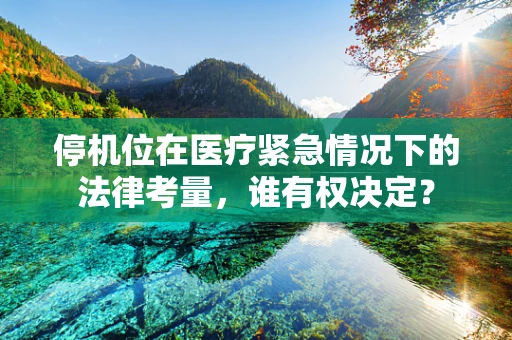 停机位在医疗紧急情况下的法律考量，谁有权决定？