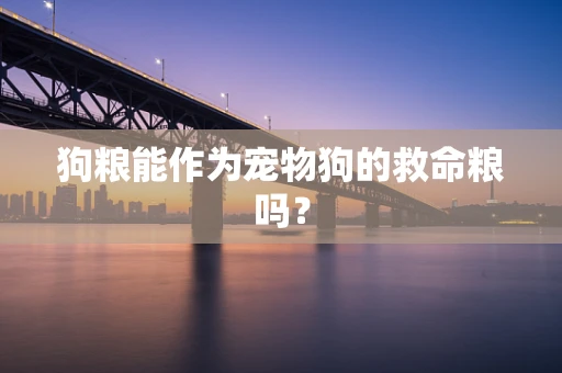 狗粮能作为宠物狗的救命粮吗？