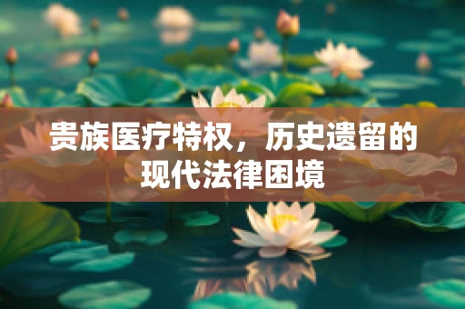 贵族医疗特权，历史遗留的现代法律困境