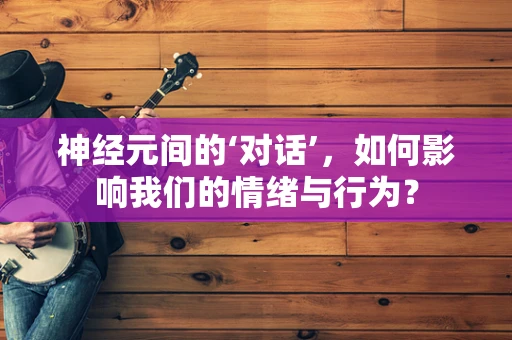 神经元间的‘对话’，如何影响我们的情绪与行为？