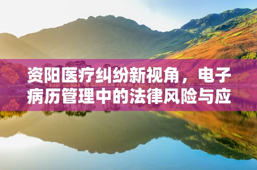 资阳医疗纠纷新视角，电子病历管理中的法律风险与应对