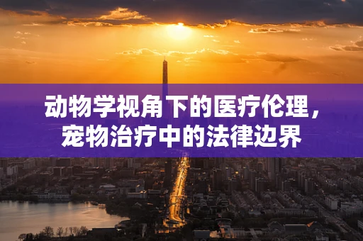 动物学视角下的医疗伦理，宠物治疗中的法律边界