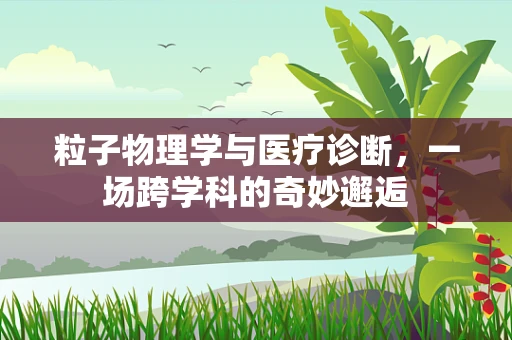 粒子物理学与医疗诊断，一场跨学科的奇妙邂逅