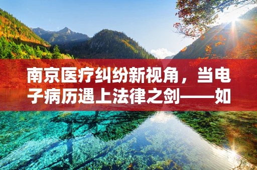南京医疗纠纷新视角，当电子病历遇上法律之剑——如何确保患者隐私与医疗安全的双重保障？
