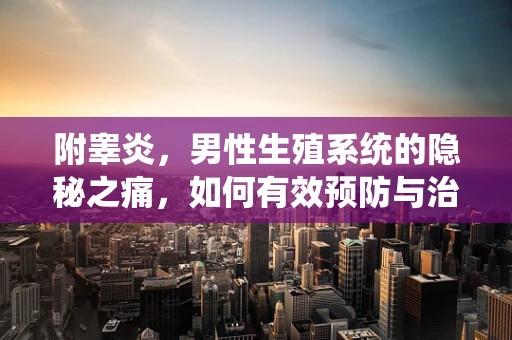 附睾炎，男性生殖系统的隐秘之痛，如何有效预防与治疗？
