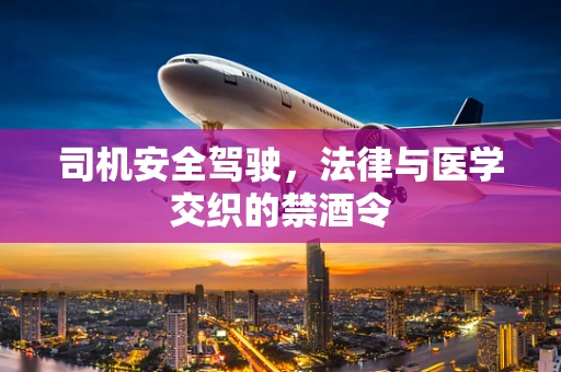 司机安全驾驶，法律与医学交织的禁酒令