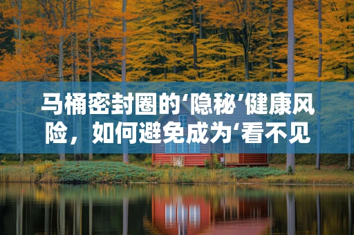 马桶密封圈的‘隐秘’健康风险，如何避免成为‘看不见’的卫生漏洞？