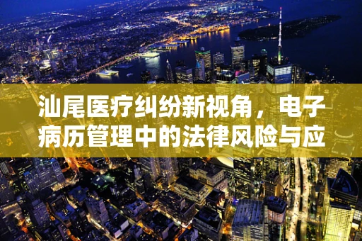 汕尾医疗纠纷新视角，电子病历管理中的法律风险与应对