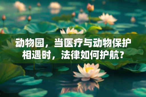 动物园，当医疗与动物保护相遇时，法律如何护航？