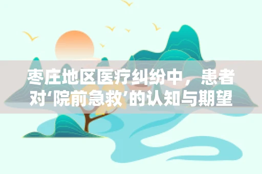 枣庄地区医疗纠纷中，患者对‘院前急救’的认知与期望的差距何在？