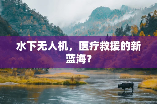 水下无人机，医疗救援的新蓝海？