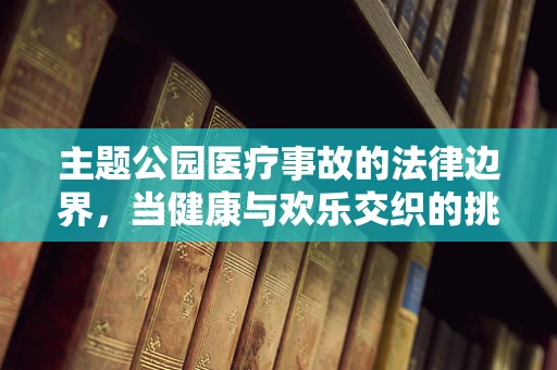主题公园医疗事故的法律边界，当健康与欢乐交织的挑战