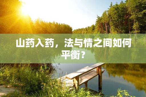 山药入药，法与情之间如何平衡？