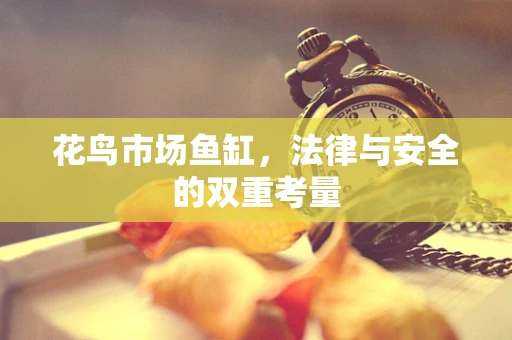 花鸟市场鱼缸，法律与安全的双重考量