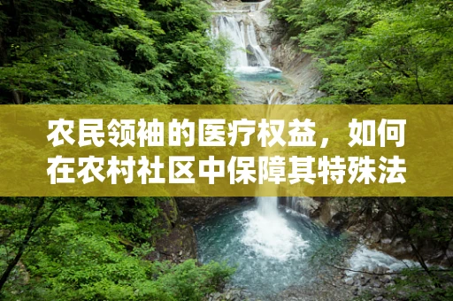 农民领袖的医疗权益，如何在农村社区中保障其特殊法律地位？