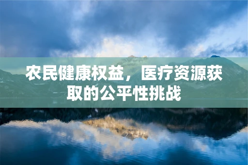 农民健康权益，医疗资源获取的公平性挑战