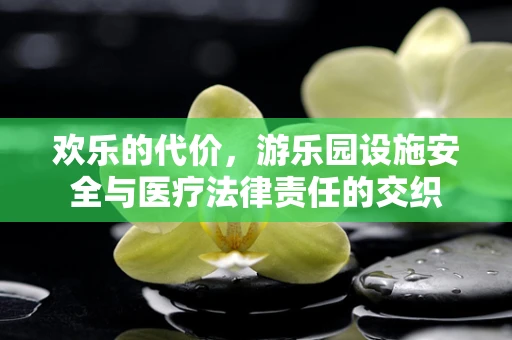欢乐的代价，游乐园设施安全与医疗法律责任的交织