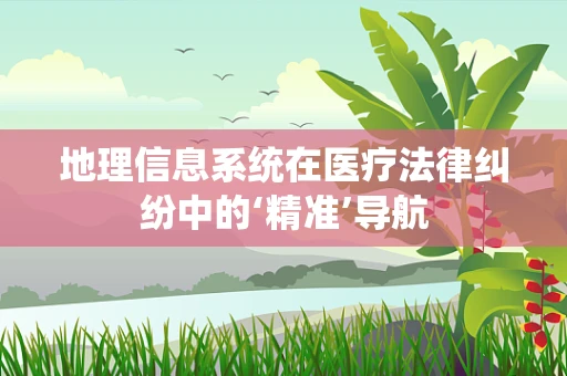 地理信息系统在医疗法律纠纷中的‘精准’导航