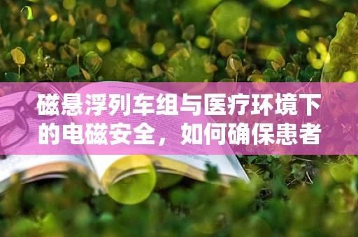 磁悬浮列车组与医疗环境下的电磁安全，如何确保患者免受潜在风险？