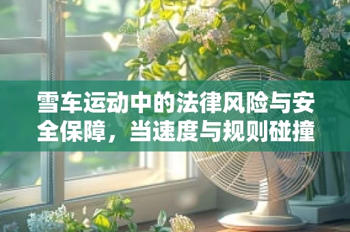 雪车运动中的法律风险与安全保障，当速度与规则碰撞
