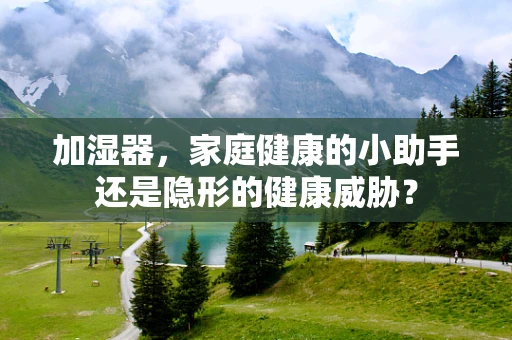 加湿器，家庭健康的小助手还是隐形的健康威胁？