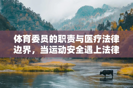 体育委员的职责与医疗法律边界，当运动安全遇上法律责任