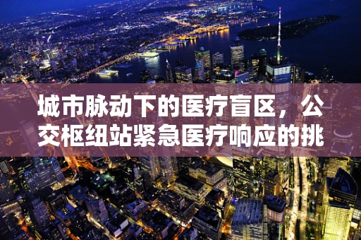 城市脉动下的医疗盲区，公交枢纽站紧急医疗响应的挑战与对策