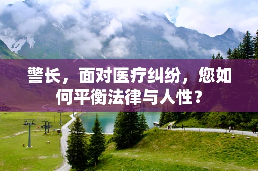 警长，面对医疗纠纷，您如何平衡法律与人性？