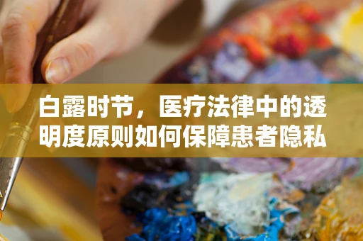 白露时节，医疗法律中的透明度原则如何保障患者隐私？