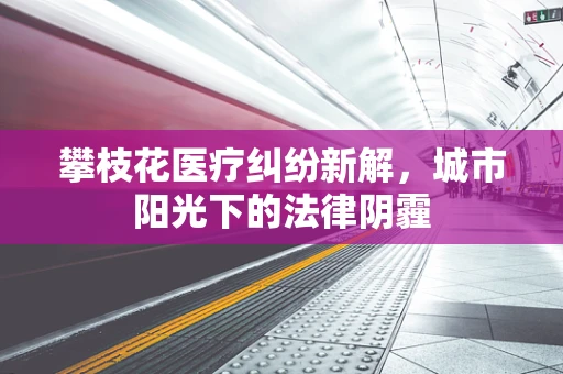 攀枝花医疗纠纷新解，城市阳光下的法律阴霾