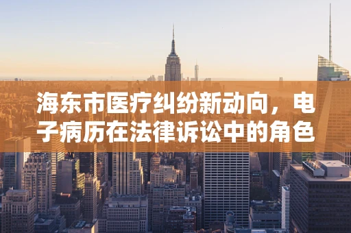 海东市医疗纠纷新动向，电子病历在法律诉讼中的角色与挑战